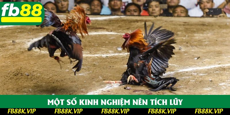 Một số kinh nghiệm nên tích lũy