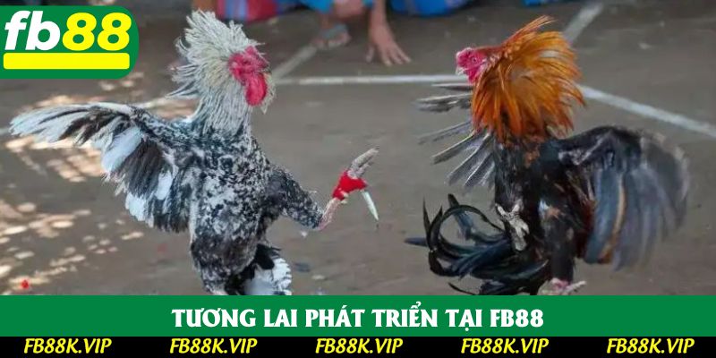 Tương lai phát triển tại FB88