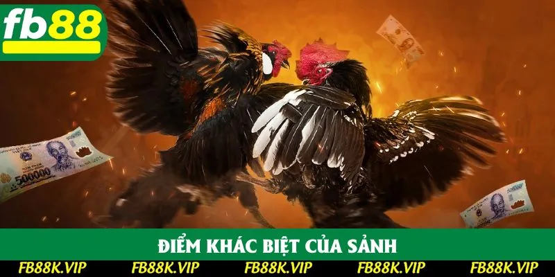 Điểm khác biệt của sảnh