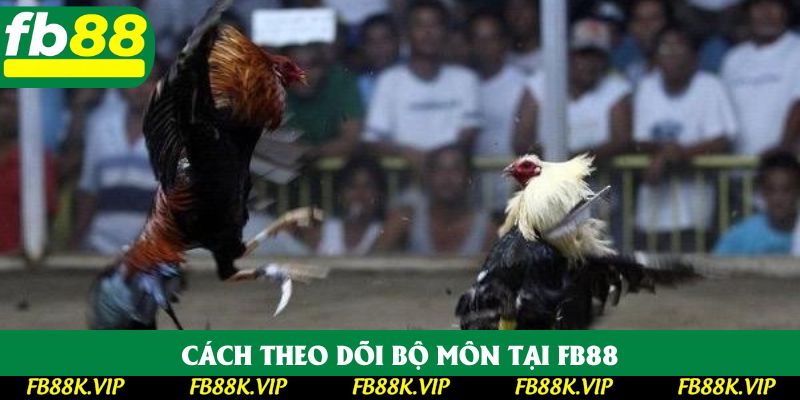 Cách theo dõi bộ môn