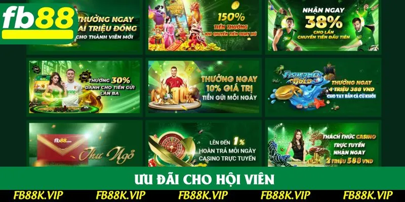 Siêu nhiều khuyến mãi và ưu đãi cho thành viên khi đăng nhập FB88