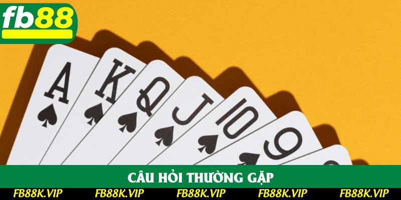 Câu hỏi thường gặp