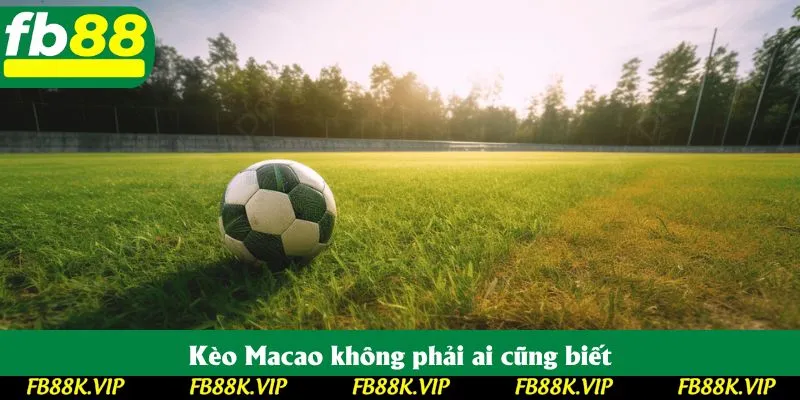 Kèo Macao không phải ai cũng biết Kèo Macao không phải ai cũng biết